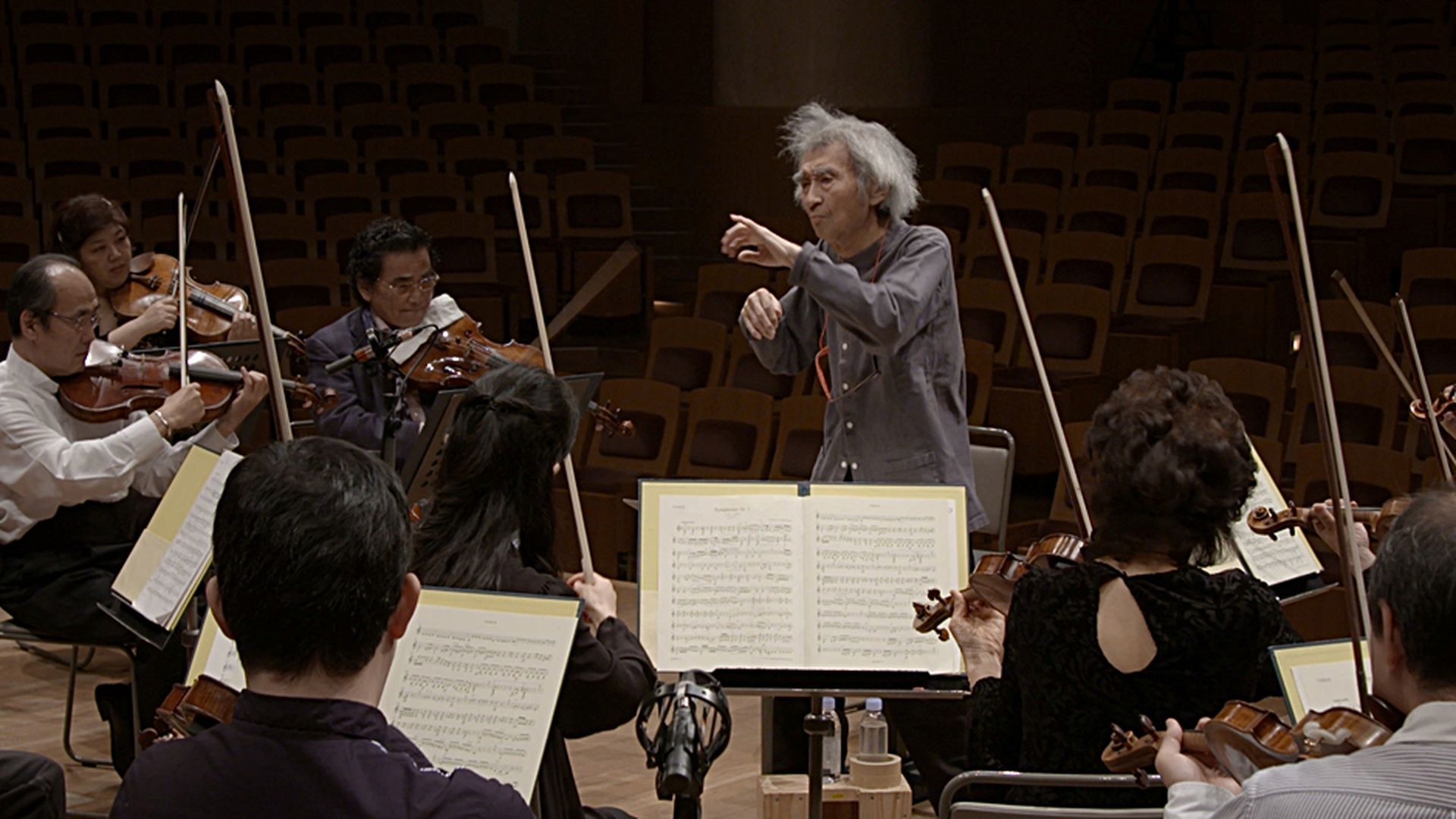 Seiji Ozawa, retour au Japon